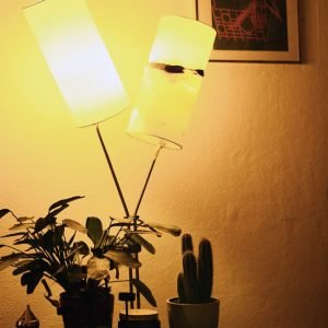 Glass Ceiling Lamp