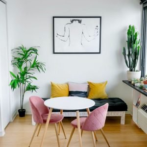 Indoor Plants